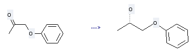 2-Propanone, 1-phenoxy- can be used to produce (S)-1-phenoxy-2-propanol at the temperature of 30 °C